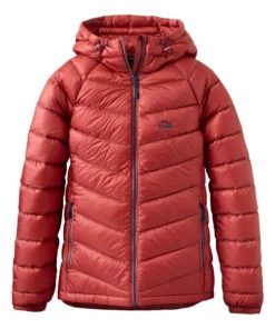 Vectorvogue.shop00cb2c223f 1