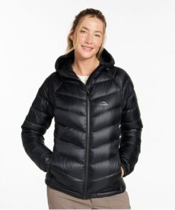 Vectorvogue.shop00cb2c223f 2