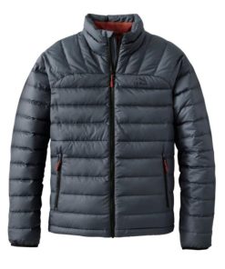 Vectorvogue.shop01b87779c5 1