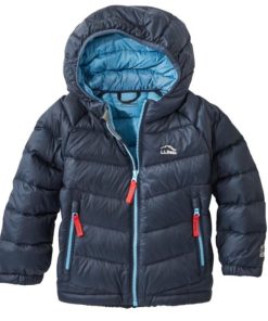 Vectorvogue.shop01ecaab1b2 1