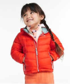 Vectorvogue.shop01ecaab1b2 2