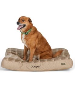 Vectorvogue.shop0353162202 2