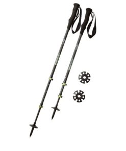 Vectorvogue.shop037cc11901 1