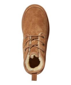 Vectorvogue.shop0bd1dc9976 4