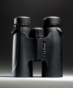 Vectorvogue.shop13651f4772 4