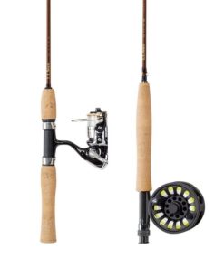 Vectorvogue.shop155a341e34 1