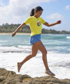 Vectorvogue.shop255c230310 4