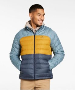 Vectorvogue.shop29870d442f 2