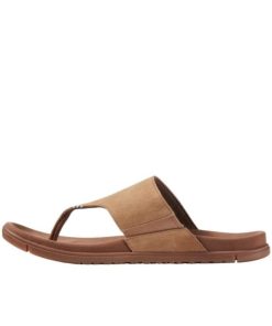 Vectorvogue.shop2c420f5bbe 2