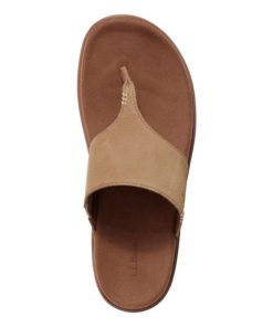 Vectorvogue.shop2c420f5bbe 4