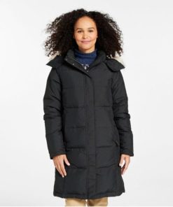 Vectorvogue.shop311bac1688 2