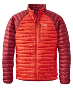 Vectorvogue.shop31254fdc75 1