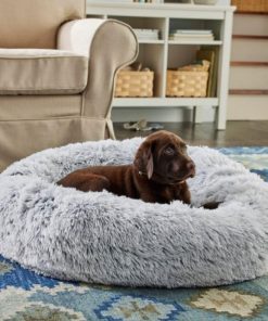 Vectorvogue.shop380aee5577 2