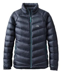 Vectorvogue.shop3a6a4dc226 1