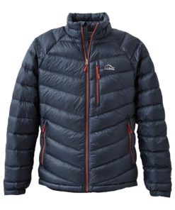 Vectorvogue.shop44387ff372 1