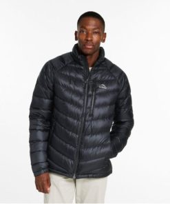 Vectorvogue.shop44387ff372 2