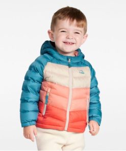 Vectorvogue.shop49e6f92d30 2