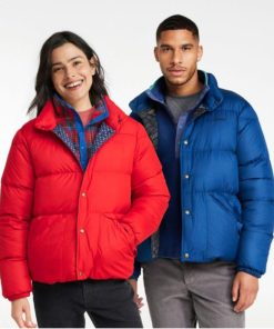 Vectorvogue.shop4b2fba27d9 2