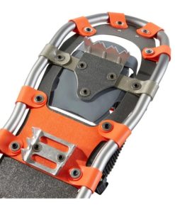 Vectorvogue.shop50643b7bb5 5