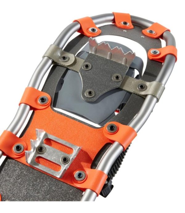 Vectorvogue.shop50643b7bb5 5