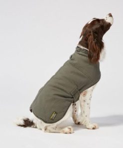 Vectorvogue.shop60cc0f19e0 2