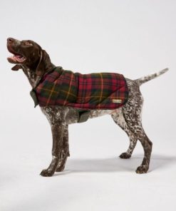 Vectorvogue.shop60cc0f19e0 3