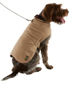 Vectorvogue.shop60cc0f19e0 4