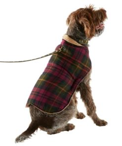 Vectorvogue.shop60cc0f19e0 5