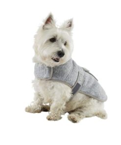 Vectorvogue.shop61ef6be669 3