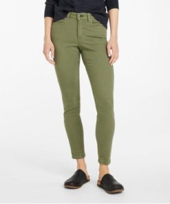 Vectorvogue.shop65d92d850a 1