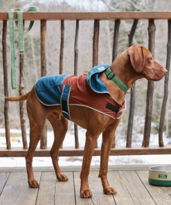 Vectorvogue.shop67cd7dd025 2