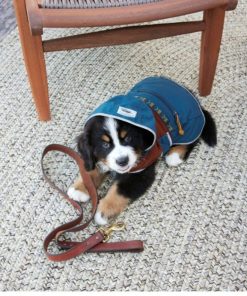 Vectorvogue.shop67cd7dd025 3