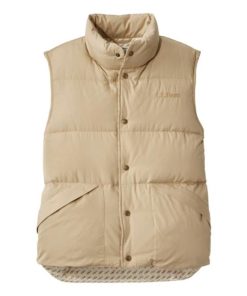 Vectorvogue.shop69ced22ca6 1