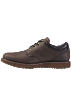 Vectorvogue.shop6b2bc3c2ae 2