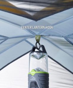 Vectorvogue.shop6c8865b2f2 5