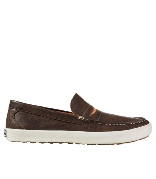 Vectorvogue.shop6eff230e0f 1