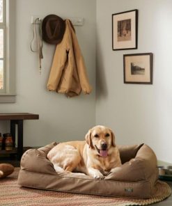 Vectorvogue.shop6f3978dc28 2