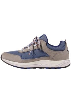 Vectorvogue.shop77e6231d24 3