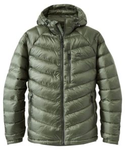 Vectorvogue.shop7b262944ae 1