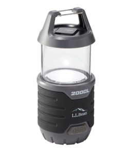 Vectorvogue.shop842bb97116 1