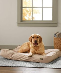 Vectorvogue.shop84e3241154 2