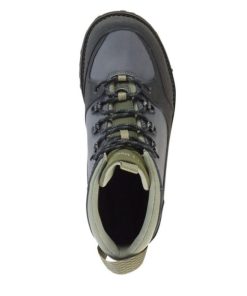 Vectorvogue.shop8a1a6032d8 3