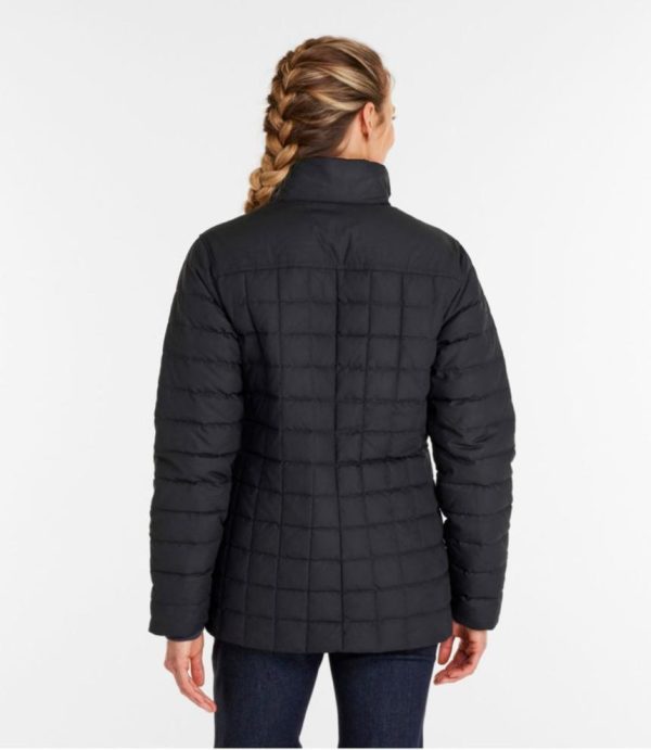 Vectorvogue.shop8b899ac96a 3