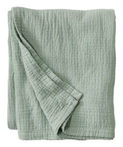 Vectorvogue.shop944b80c388 1