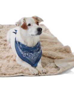 Vectorvogue.shop97be482a8e 2