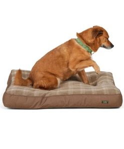 Vectorvogue.shop992f0d2462 2