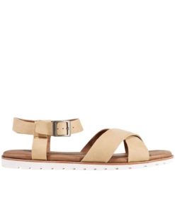 Vectorvogue.shopa95f050d57 1