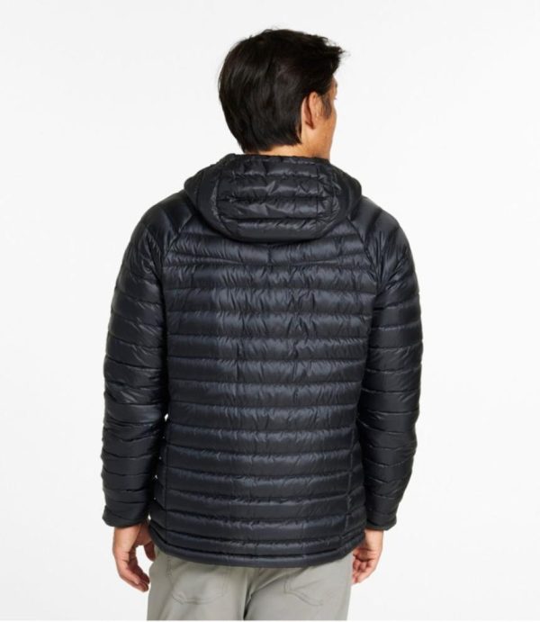 Vectorvogue.shopace7857114 3