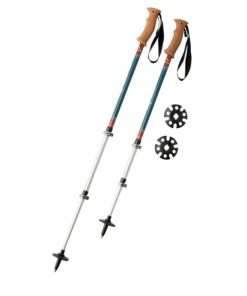 Vectorvogue.shopb0b6ad9594 1