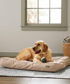 Vectorvogue.shopc04ad4d8ff 2